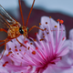 Illustration for article titled 18 Creepy, Crawly Photos Of Insects